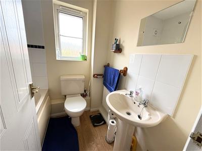 Picture 7